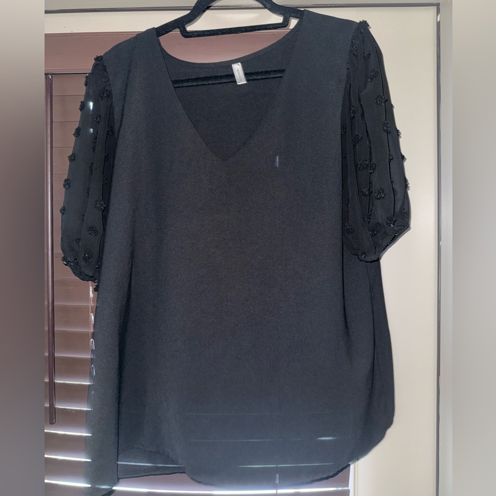 Amazon Black Blouse with Textured Sheer Sleeves